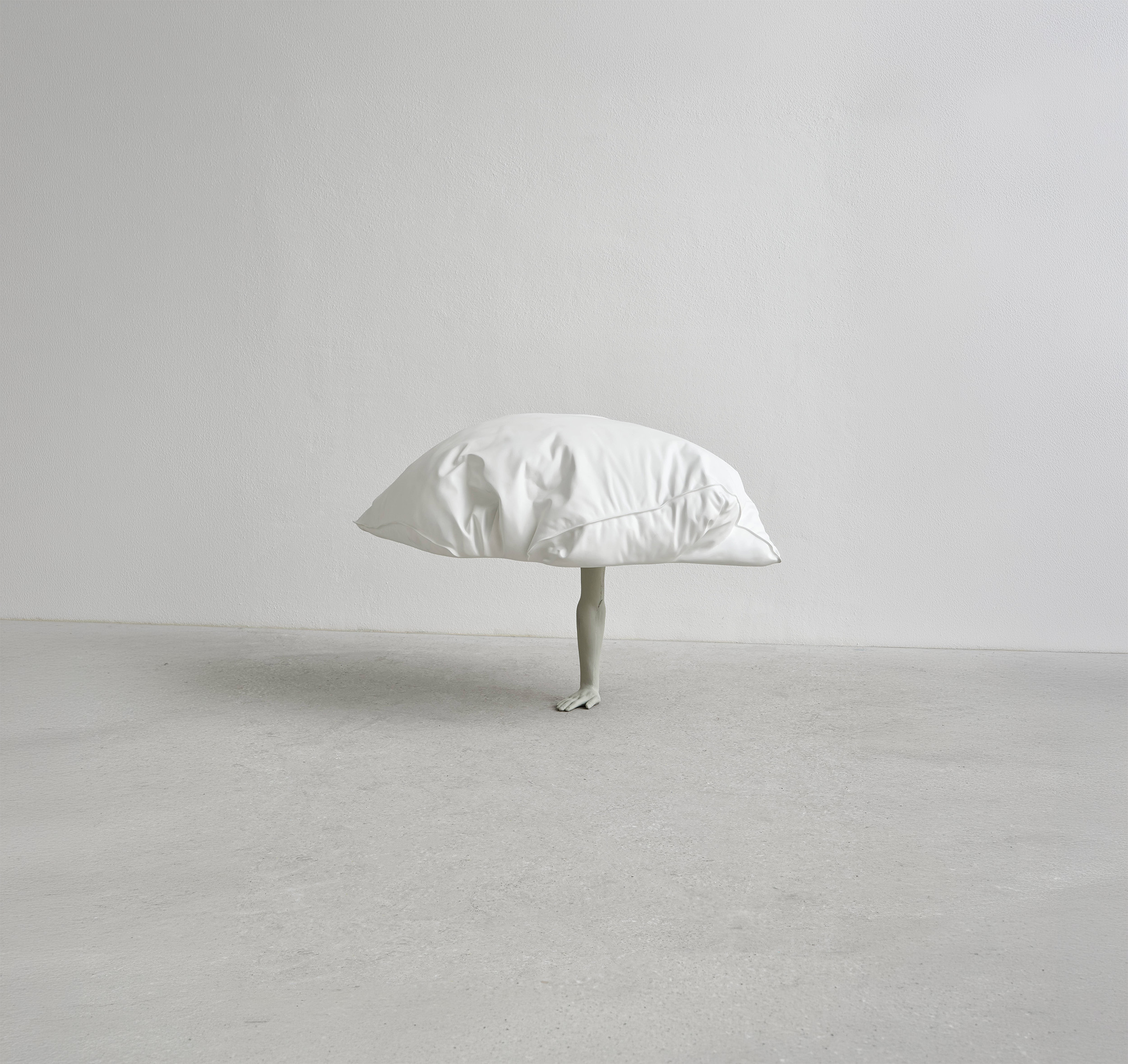 Immagine rappresentativa mostra: Erwin Wurm. Dreamers