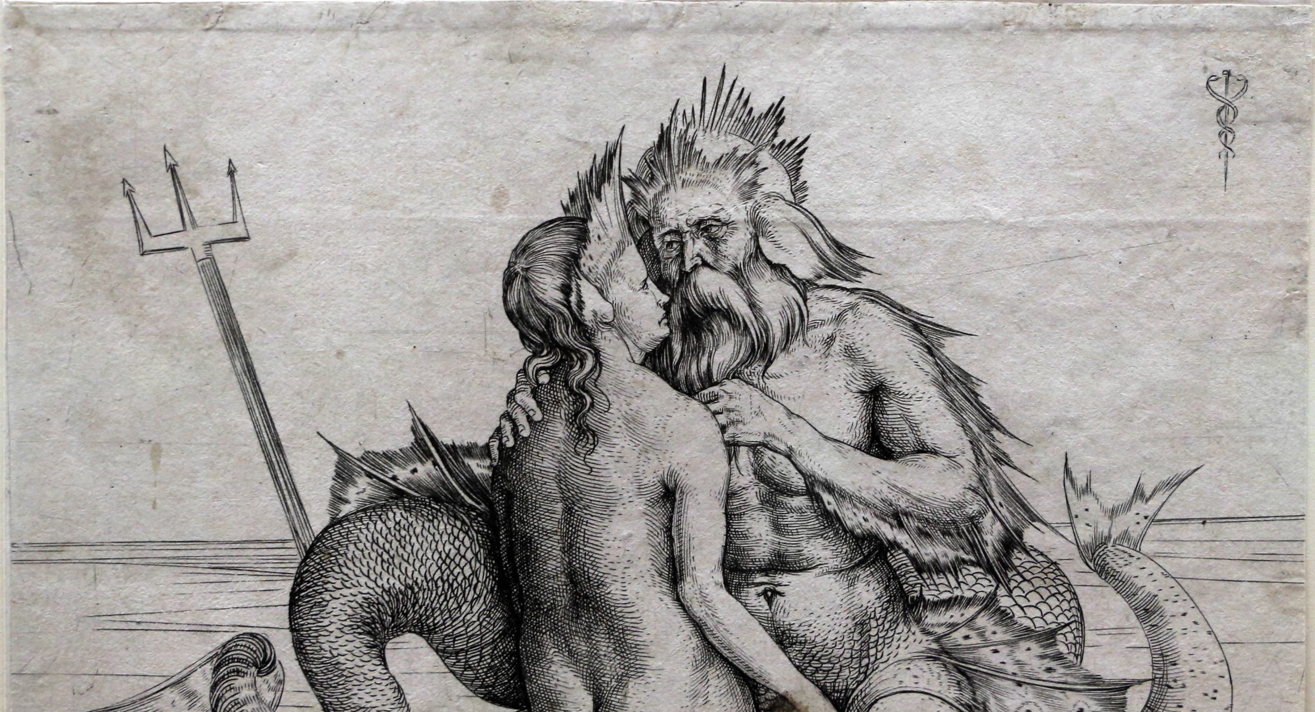 Incisione Jacopo de barbari per la mostra rinascimento in bianco e nero
